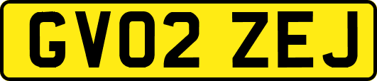 GV02ZEJ