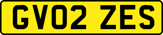 GV02ZES
