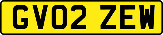 GV02ZEW