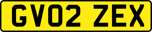 GV02ZEX