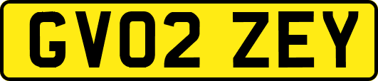 GV02ZEY