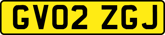 GV02ZGJ