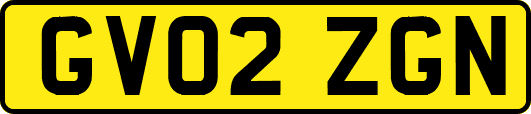 GV02ZGN