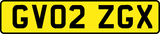 GV02ZGX