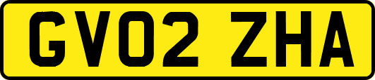 GV02ZHA