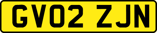 GV02ZJN