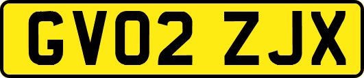 GV02ZJX