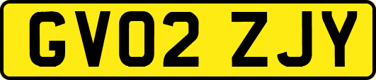 GV02ZJY