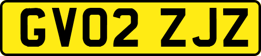 GV02ZJZ