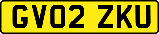 GV02ZKU