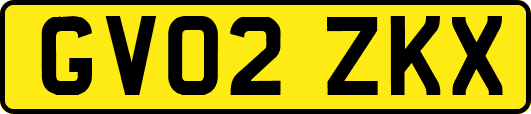 GV02ZKX
