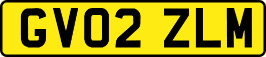 GV02ZLM