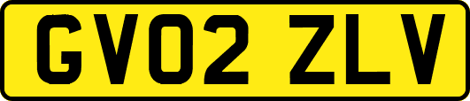 GV02ZLV