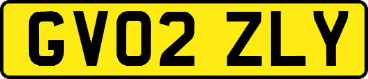 GV02ZLY