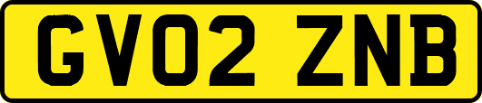 GV02ZNB