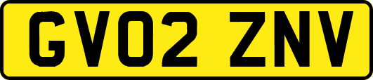 GV02ZNV