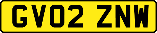 GV02ZNW