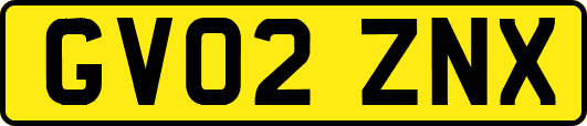 GV02ZNX