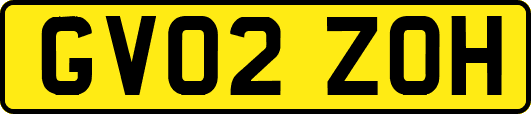 GV02ZOH