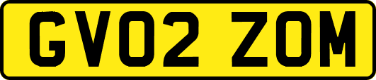 GV02ZOM