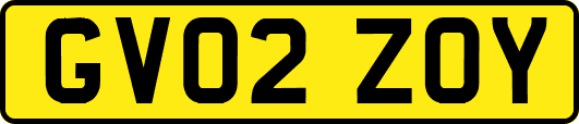 GV02ZOY