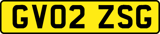 GV02ZSG