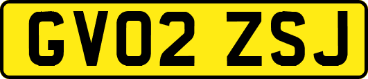 GV02ZSJ