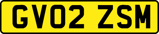 GV02ZSM
