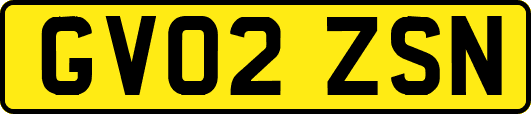 GV02ZSN