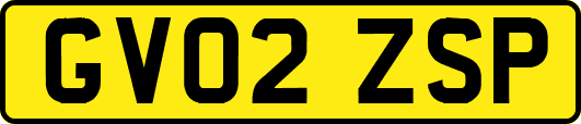 GV02ZSP