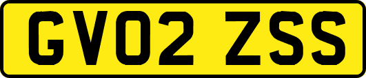 GV02ZSS