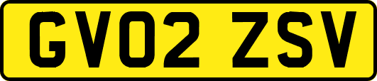 GV02ZSV