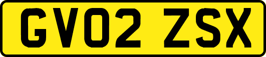 GV02ZSX