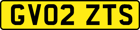 GV02ZTS