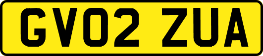 GV02ZUA
