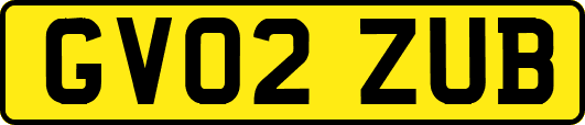 GV02ZUB