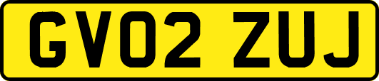 GV02ZUJ