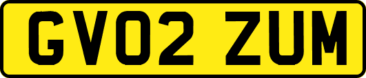 GV02ZUM