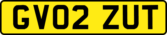 GV02ZUT