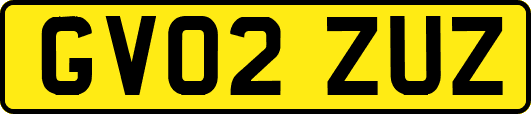 GV02ZUZ