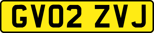 GV02ZVJ