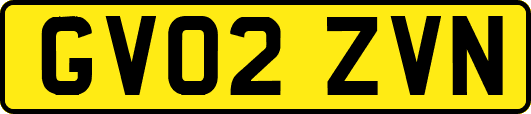 GV02ZVN