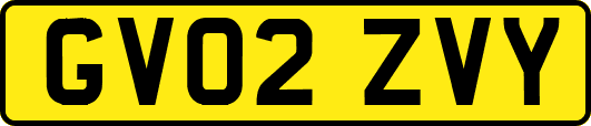 GV02ZVY