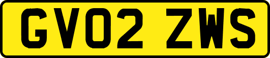 GV02ZWS