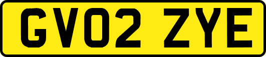 GV02ZYE