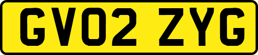 GV02ZYG