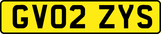 GV02ZYS