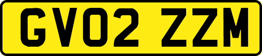 GV02ZZM