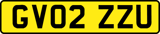 GV02ZZU