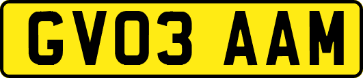 GV03AAM